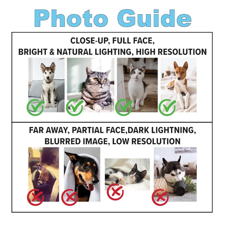 Tappeto d'ingresso personalizz - Pet Portrait Custom recensione e prezzo
