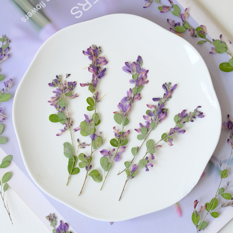 6 Pezzi, Fiori Essiccati e Pre - Dried Flower Bookmark recensione e prezzo
